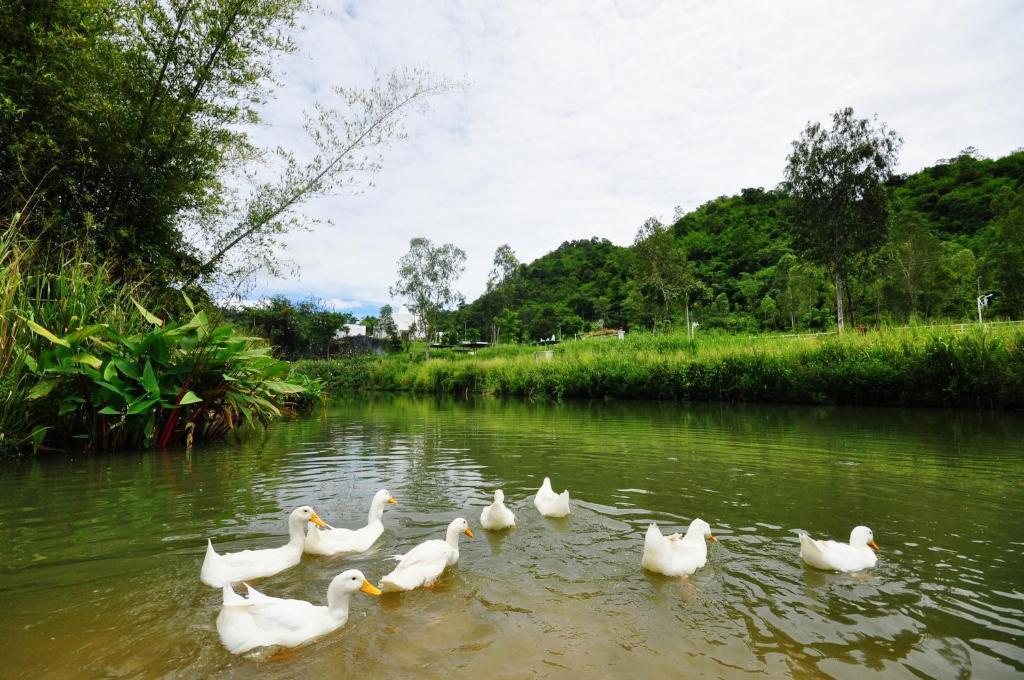 Aristo Chic Resort & Farm Suan Phueng Exterior photo