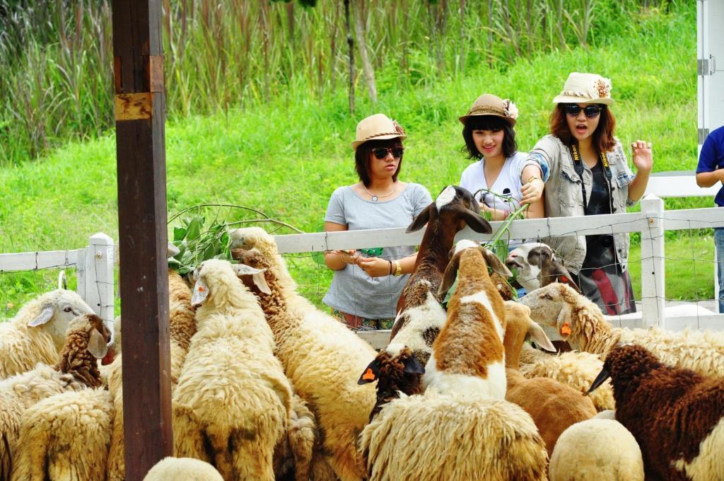 Aristo Chic Resort & Farm Suan Phueng Exterior photo